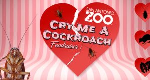 Zbogom loša prošlosti: Nazovite bubašvabu po bivšem/bivšoj i nahranite životinju u zoološkom vrtu u San Antoniju