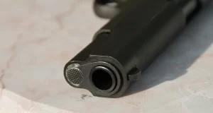 Pronađena gomila oružja u domu slavnog glumca: Ni za jedan nema dozvolu