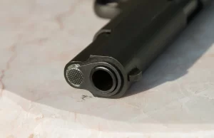 Pronađena gomila oružja u domu slavnog glumca: Ni za jedan nema dozvolu