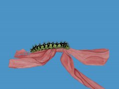 Džon Glečer konačno objavila EP “Like A Ribbon”