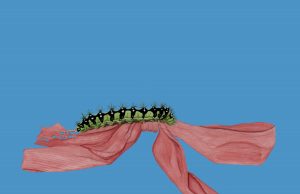 Džon Glečer konačno objavila EP “Like A Ribbon”