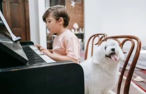 Otvoren konkurs za decu kompozitore do 1. marta