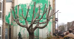 Benksi potvrdio da je mural drveta u Londonu njegov rad