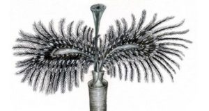 Fosil morskog crva star 190 miliona godina dobio ime po Alisu Kuperu