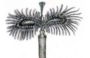 Fosil morskog crva star 190 miliona godina dobio ime po Alisu Kuperu