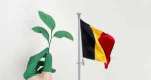 Belgija prva u Evropi priznaje ekocid kao međunarodni zločin: Kazna do 20 godina zatvora