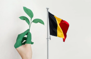 Belgija prva u Evropi priznaje ekocid kao međunarodni zločin: Kazna do 20 godina zatvora