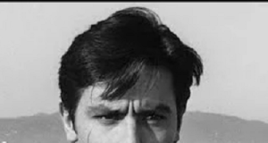 Zaratili naslednici Alena Delona