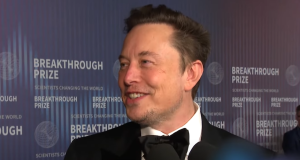 Iz rubrike “Verovali ili ne”: Zaljubila se u lažnog Ilona Maska pa ostala bez 50 hiljada dolara