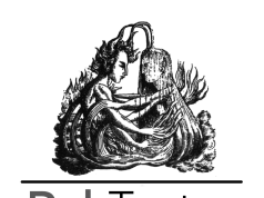 Povratak DAH Tetra sa prestižnog festivala u Briselu: Izvedena pozorišno-plesna predstava “Drveće pleše”