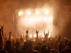 Van Gogh se vraća u Novi Sad