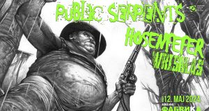 Furiozni ska-kor bend “Public Serpents” iz Njudžersija 12. maja u SKCNS Fabrici