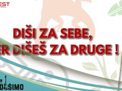 Ekološki rok festival AirFest održaće se 14. i 15. juna u Zabranskoj šumi kod Obrenovca