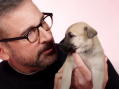 Miljenik publike širom sveta, glumac Stiv Karel, vraća se na male ekrane