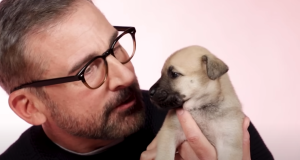 Miljenik publike širom sveta, glumac Stiv Karel, vraća se na male ekrane