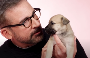 Miljenik publike širom sveta, glumac Stiv Karel, vraća se na male ekrane