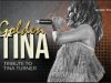 Tina Tarner tribute bend premijerno u Novom Sadu