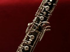 Oboa Fest humanitarnog karaktera od 10. do 13. juna u Beogradu