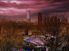 They Drive By Night u Muzeju Vuka i Dositeja