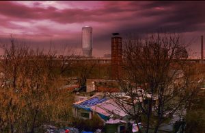 They Drive By Night u Muzeju Vuka i Dositeja