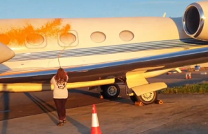 Tejlor Svift na udaru ekoloških aktivista