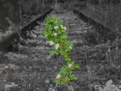 Treća Smena predstavila album “Dovoljno jak”