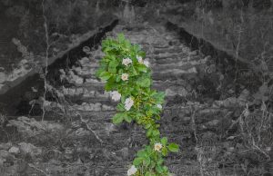 Treća Smena predstavila album “Dovoljno jak”