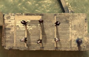 King Gizzard and the Lizard Wizard najavili album “Flight b741”