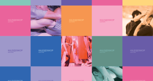 Kaleidoskop kulture u Novom Sadu