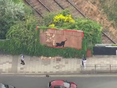 Benksijevih šest umetničkih dela za sedam dana