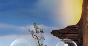 Australijanci servirali novi hit: Poslušajte “Happy Like You”