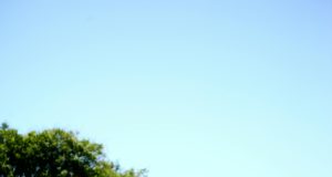 Zejna je najbolja, a ove godine i kuma Beograd Prajda