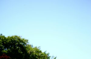 Zejna je najbolja, a ove godine i kuma Beograd Prajda