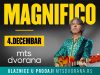 Magnifiko 4. decembra prvi put u mts Dvorani
