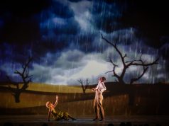 Pozorišni spektakl u Sava centru: “Mali princ” poziva Beograd na izuzetnu avanturu