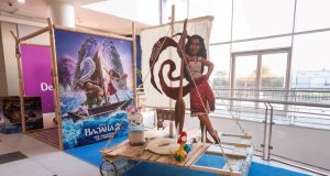 U beogradskom šoping centru Delta siti osvanuo Vajanin eko-kanu